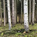 Charming In Viroinval Prázdninový dům *