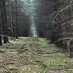 Charming In Viroinval * Le Mesnil