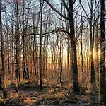 Charming In Viroinval Le Mesnil