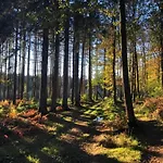 Charming In Viroinval