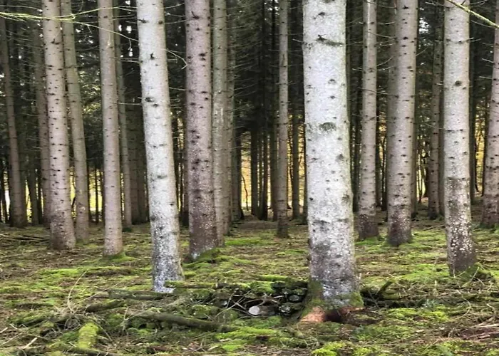 Charming In Viroinval Hébergement de vacances *