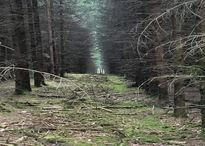 Charming In Viroinval * Le Mesnil