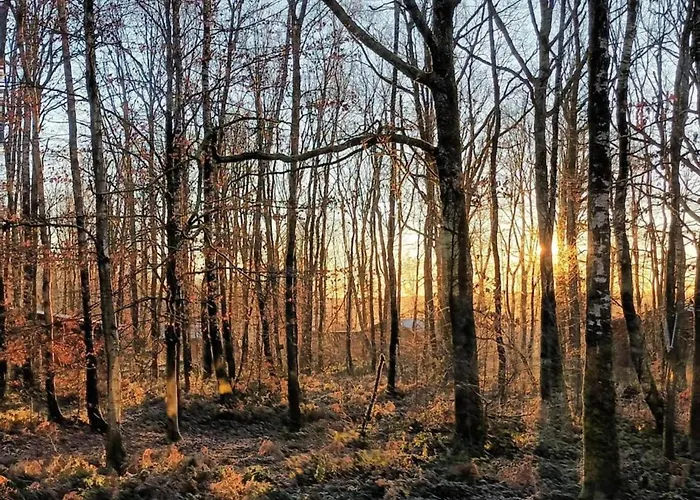 Charming In Viroinval Le Mesnil