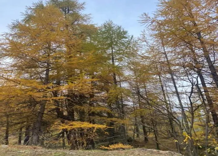 Charming In Viroinval