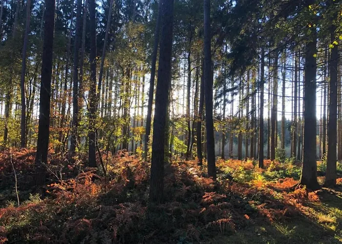 Charming In Viroinval Hébergement de vacances *