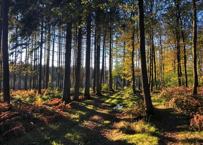 Charming In Viroinval